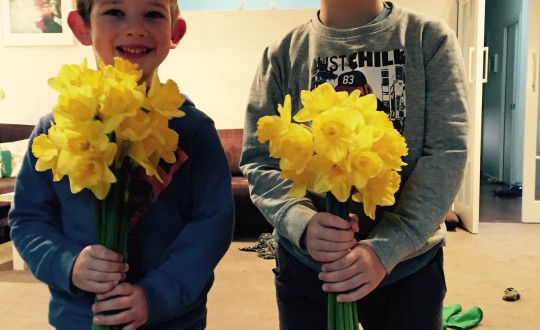 daff